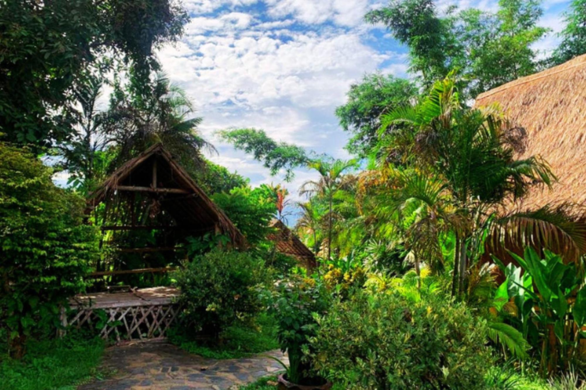 Old Tree'S House Hotell Mae Ai Eksteriør bilde